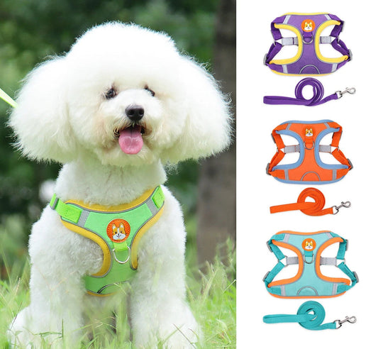 Ham Anti-Tragere cu Lesă Inclusă – Reflectorizant și Reglabil